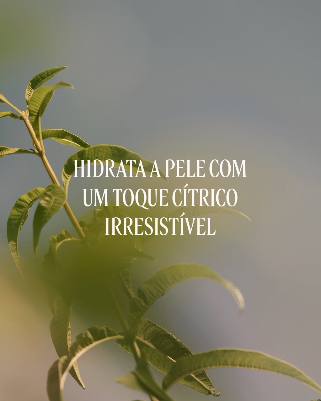 Lo&ccedil;&atilde;o Corporal Perfumada Verveine, , large